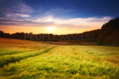 Buy stock photo Farmland ready for harvesting