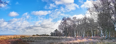 Buy stock photo Landscape of rustic field of grass and frontier in winter. An expansive meadow and silver birch forest on a cloudy autumn day. Colourful timberlands, blue sky and white clouds. 