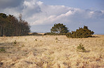 East coast of Jutland,  Denmark