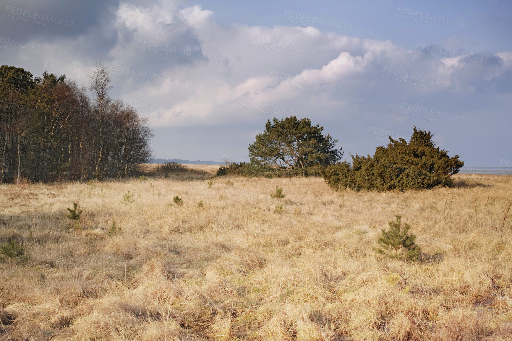 Buy stock photo The east coast of Jutland facing Kattegat