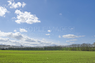 Buy stock photo Green fields and blue sky in spring and early summer