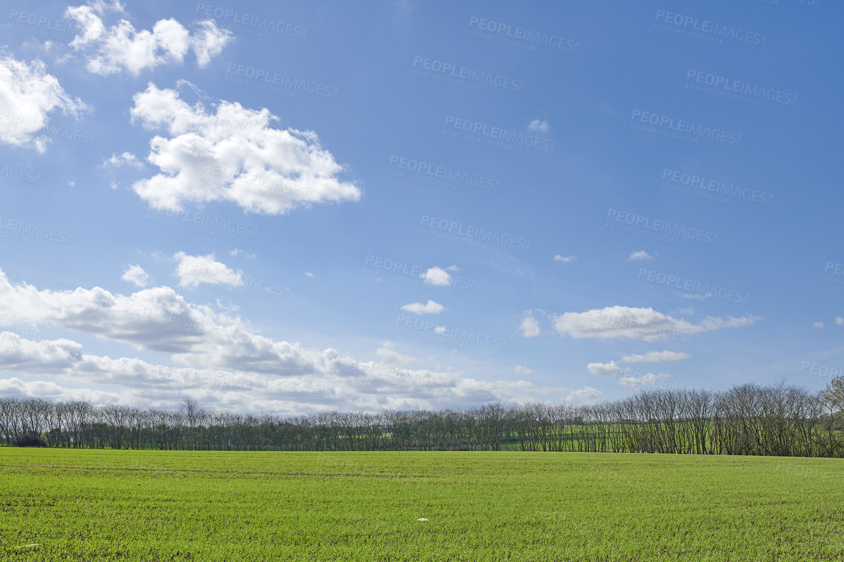 Buy stock photo Green fields and blue sky in spring and early summer