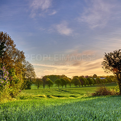 Buy stock photo A  photo of the Danish countryside at summertime