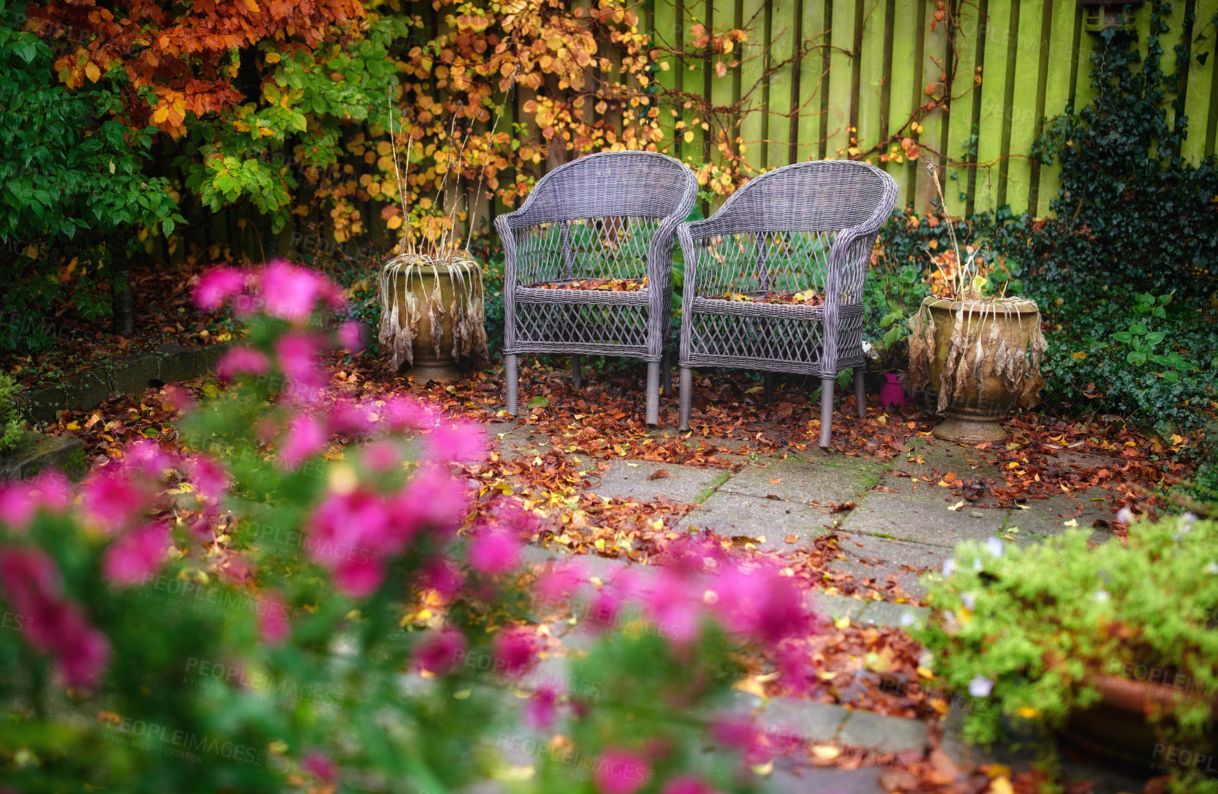 Buy stock photo A series of beautiful garden photos