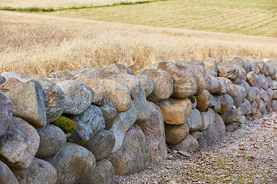 Buy stock photo An old wall made of rock on a farm outside on a sunny day, separating crops with a man made structure. Stone barrier in rural architecture design and style to keep growing produce safe and secluded