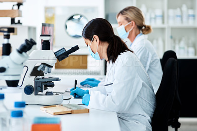 Buy stock photo Science, writing and women in lab, research and medical professional with test results. People, scientist and employees with equipment, medicine and safety with breakthrough, chemistry and disease