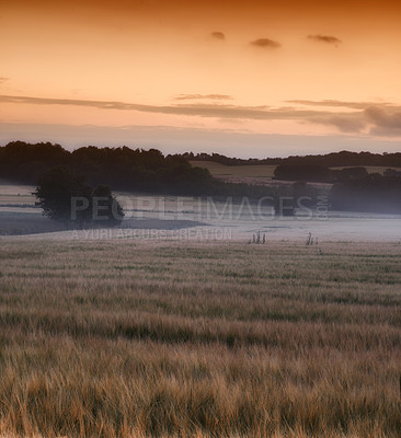 Buy stock photo Nature photos from Denmark