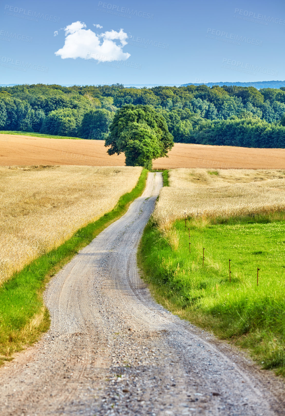 Buy stock photo Nature photos from Denmark