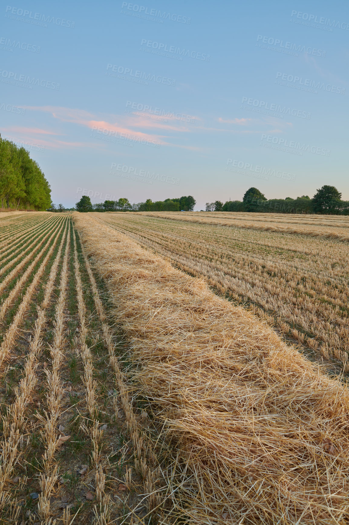 Buy stock photo Nature photos from Denmark