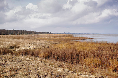 Buy stock photo Nature photos from Denmark