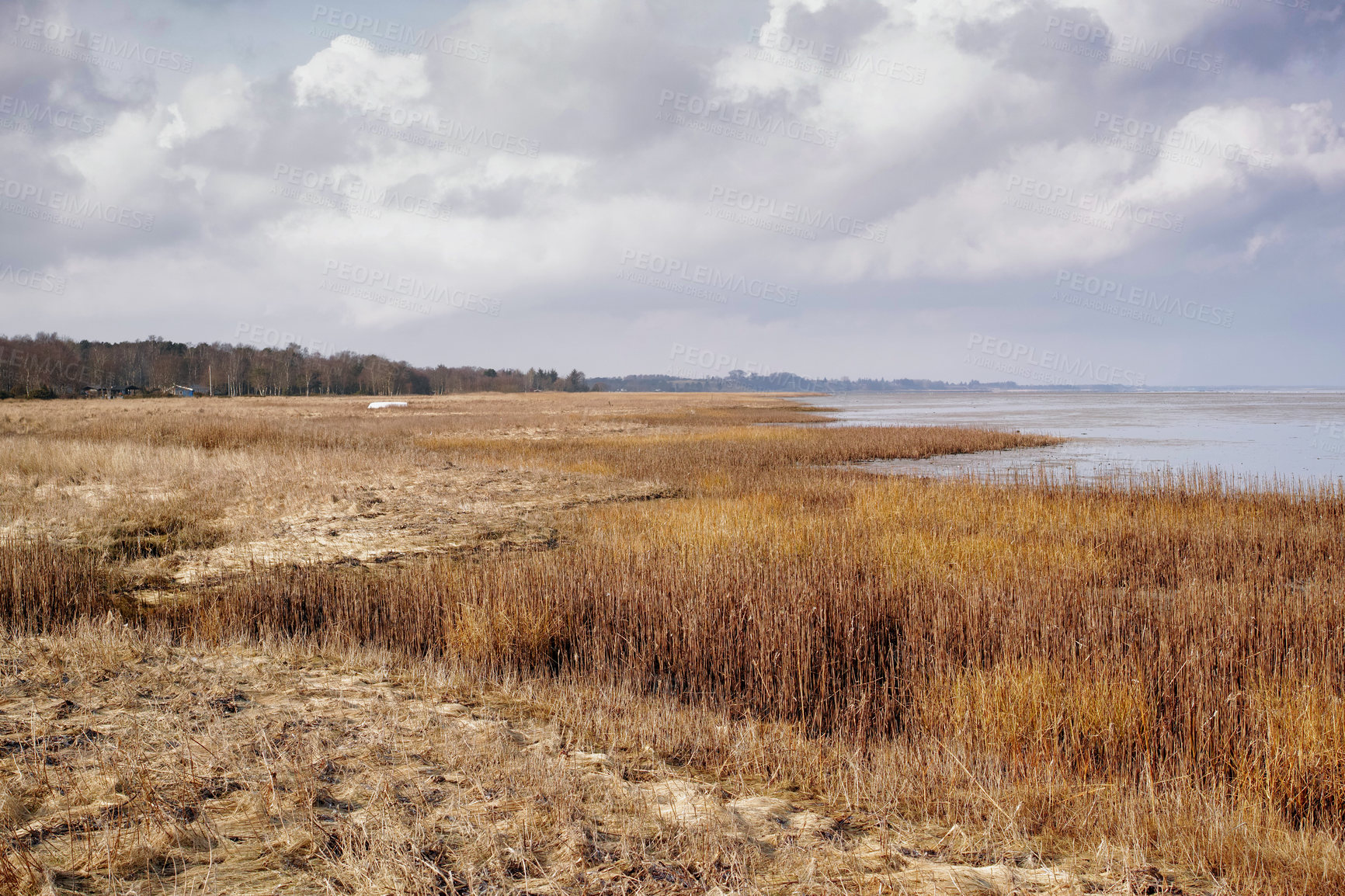 Buy stock photo Nature photos from Denmark