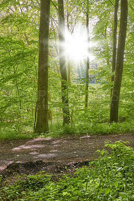 Buy stock photo Nature photos from Denmark