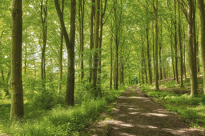 Buy stock photo Nature photos from Denmark