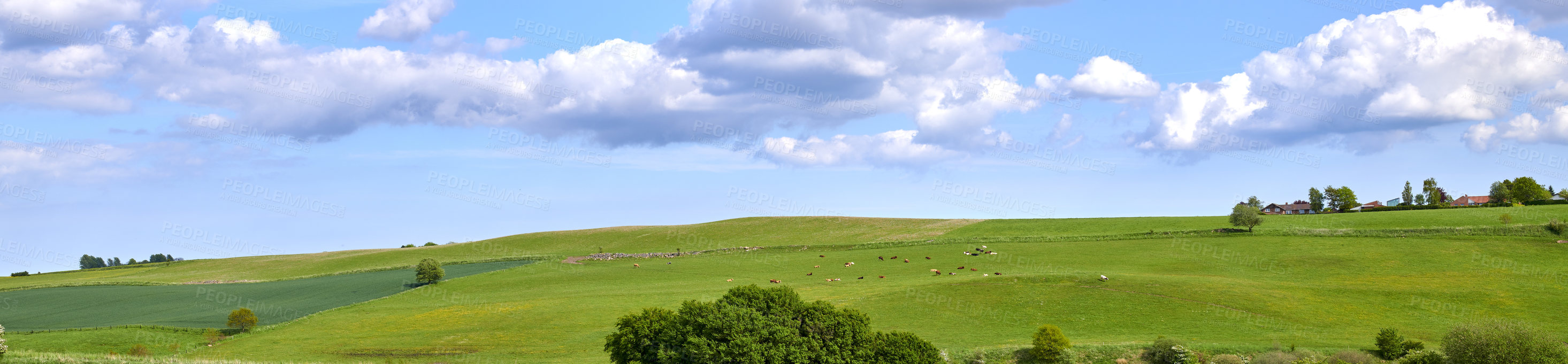 Buy stock photo Nature photos from Denmark