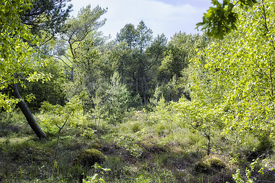 Buy stock photo Nature photos from Denmark