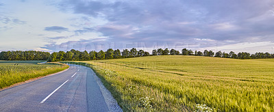 Buy stock photo Nature photos from Denmark