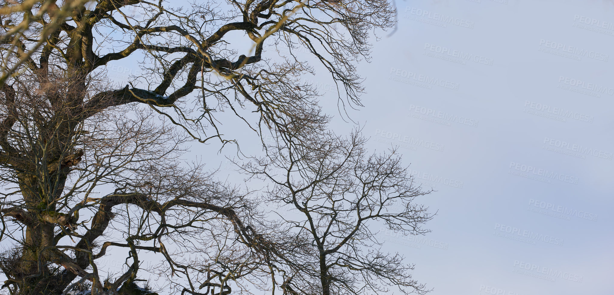 Buy stock photo Winter landscape on a sunny day with blue sky