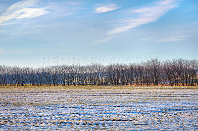 Buy stock photo Winter landscape on a sunny day with blue sky