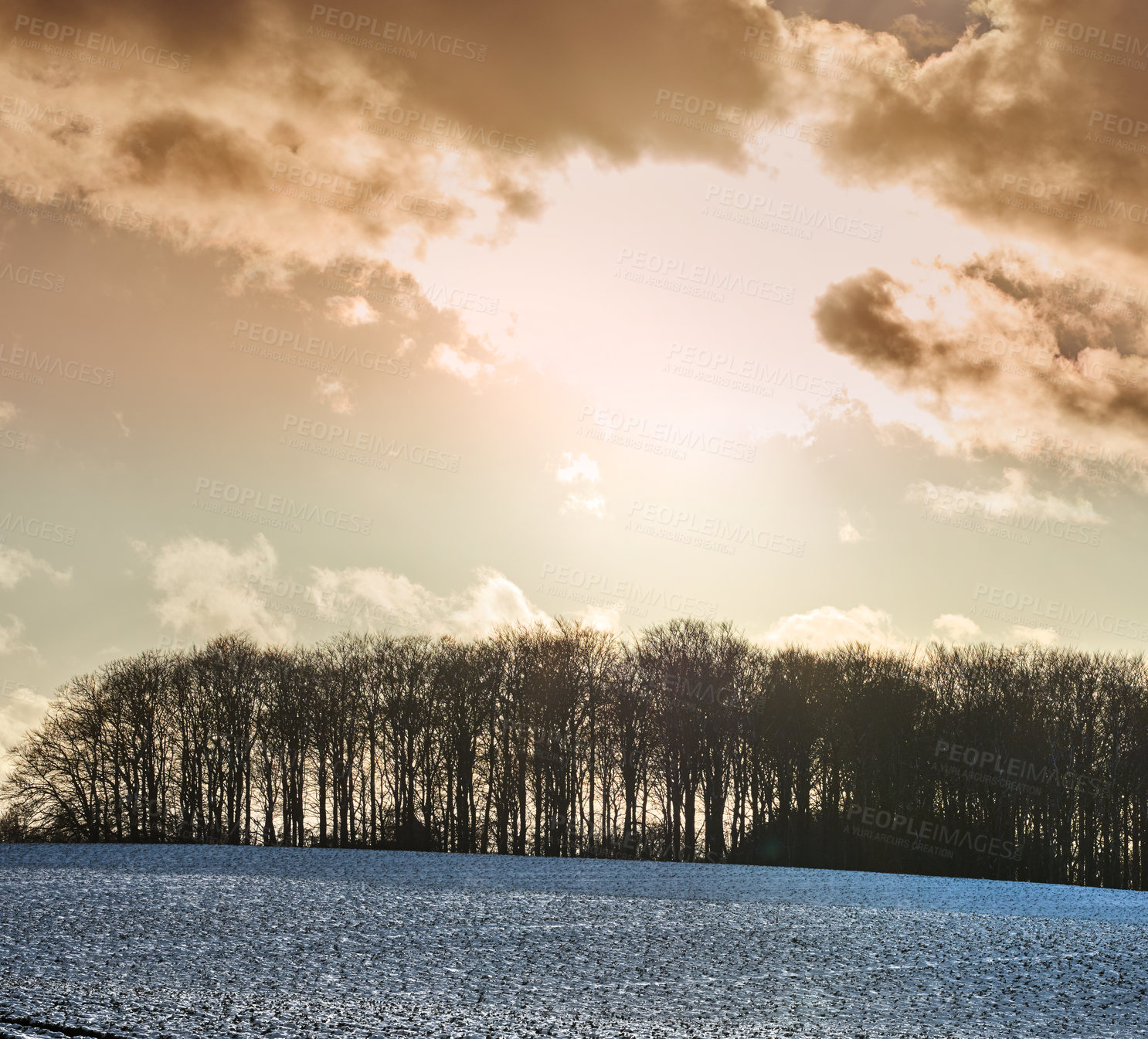 Buy stock photo Sunset, snow and landscape of trees in nature for vacation, getaway or weekend trip destination. Travel, clouds and outdoor in winter at eco friendly environment for holiday location with ice.