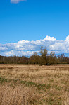 Countryside in autumn