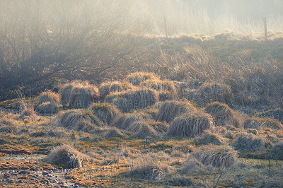 Buy stock photo A photo of farmland in autumn