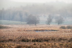 Countryside in autumn