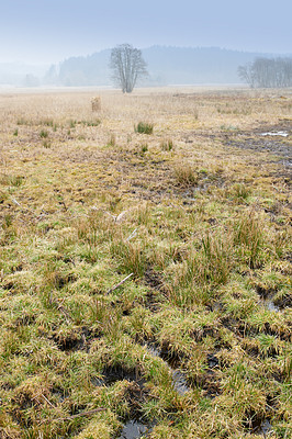 Buy stock photo A photo of farmland in autumn