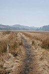 Countryside in autumn