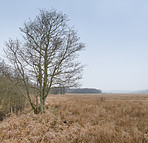 Countryside in autumn