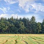 Countryside in autumn