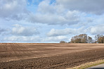 Countryside in autumn