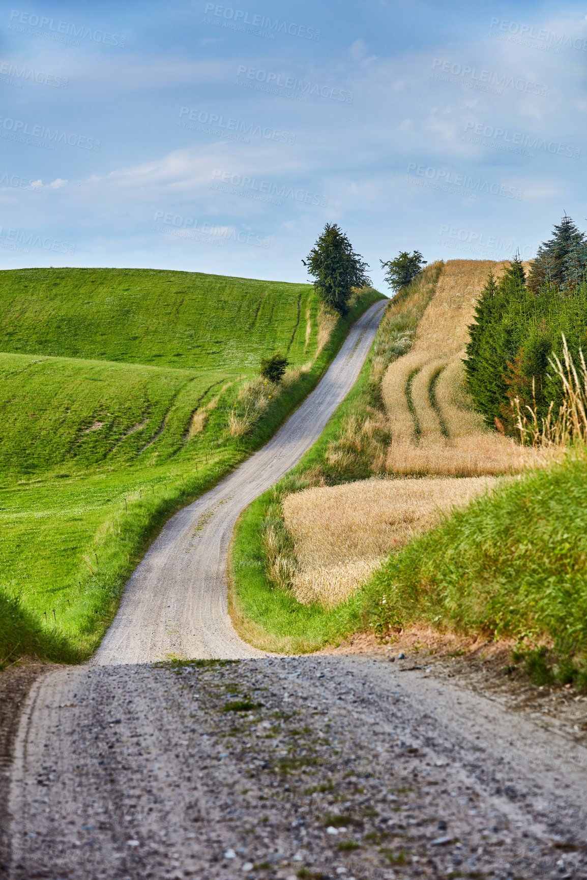 Buy stock photo Green fields and blue sky in spring and early summer