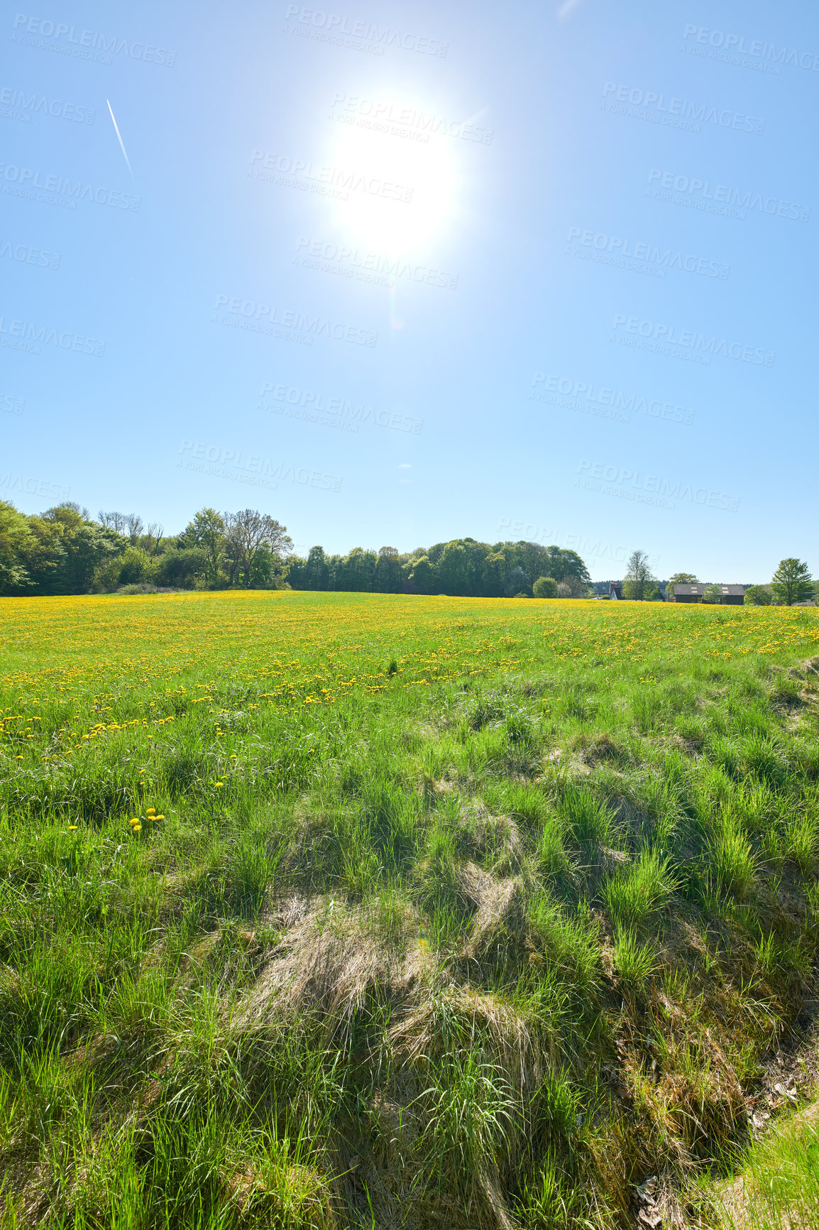 Buy stock photo Green fields and blue sky in spring and early summer