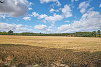 Countryside in harvest