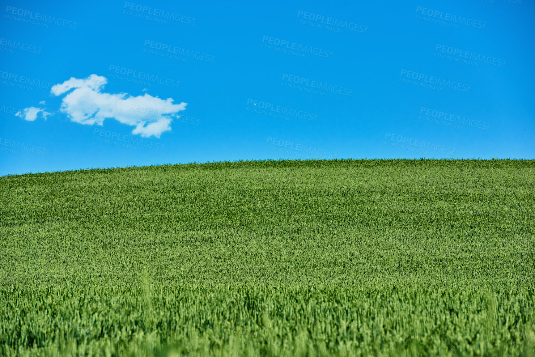 Buy stock photo Farmland in springtime - lots of copy space