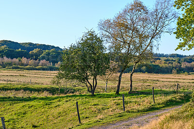 Buy stock photo A  photo of the Danish countryside at summertime