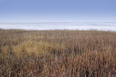 Buy stock photo The east coast of Jutland facing Kattegat