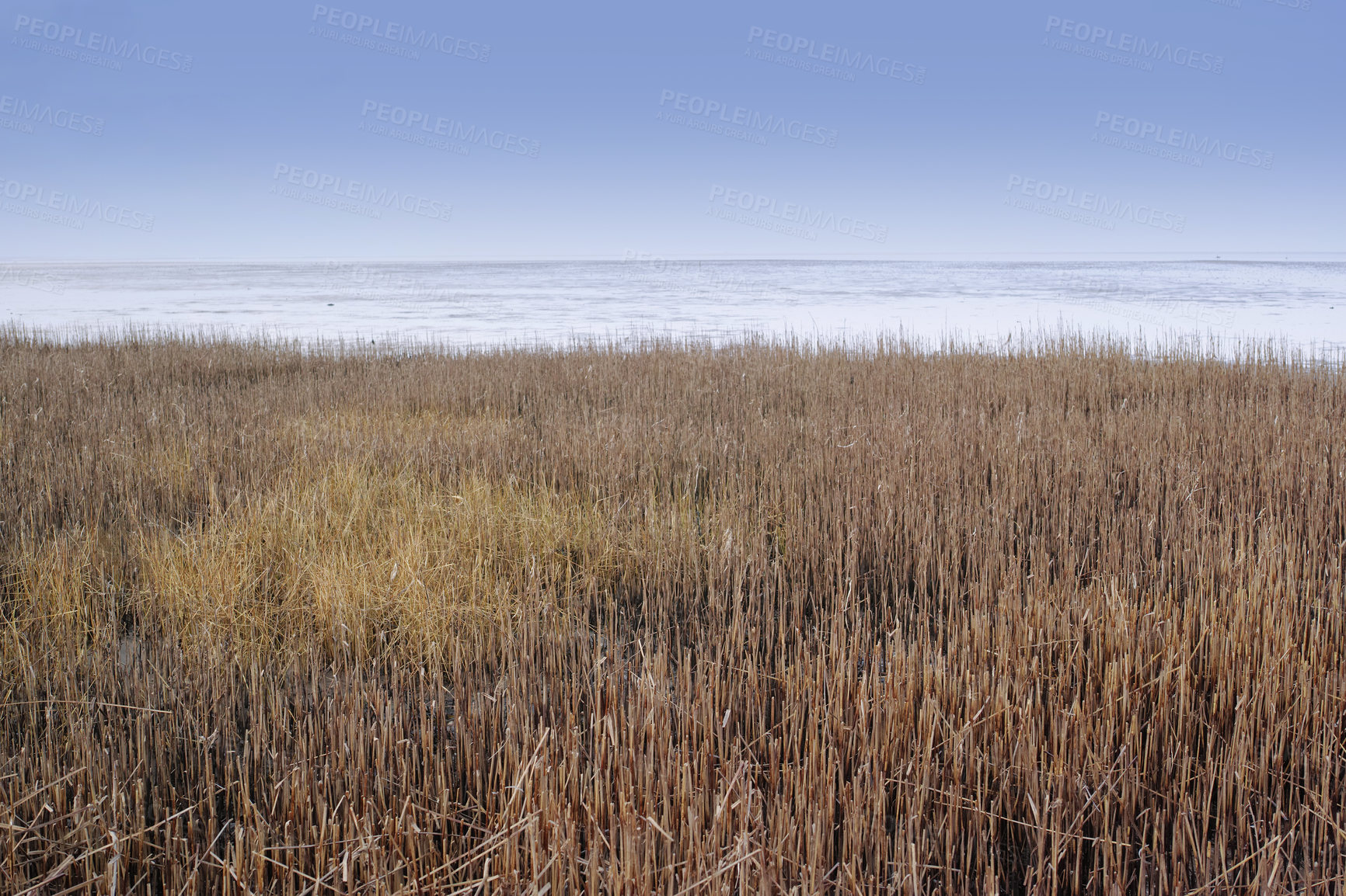 Buy stock photo The east coast of Jutland facing Kattegat