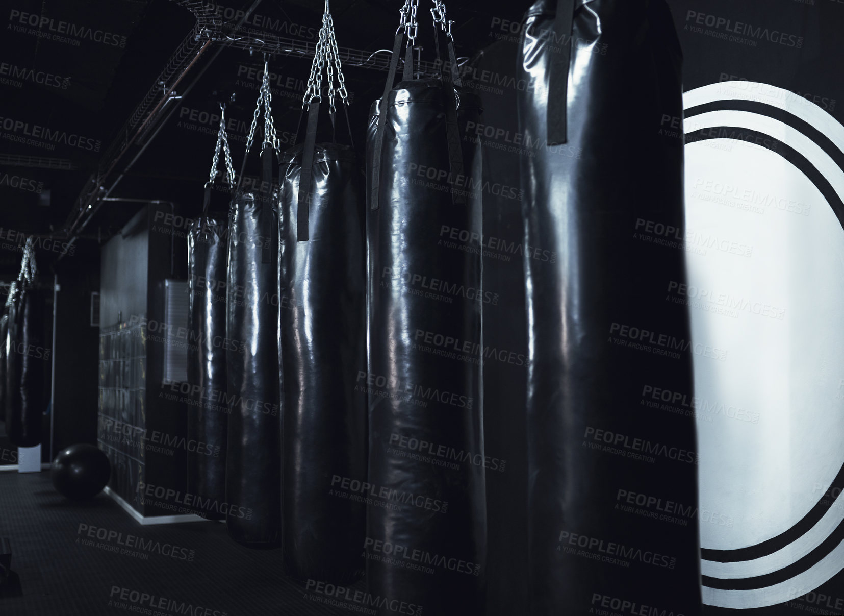 Buy stock photo Still life shot of a row of punching bags in a gym