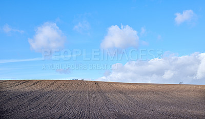 Buy stock photo Green fields and blue sky in spring and early summer