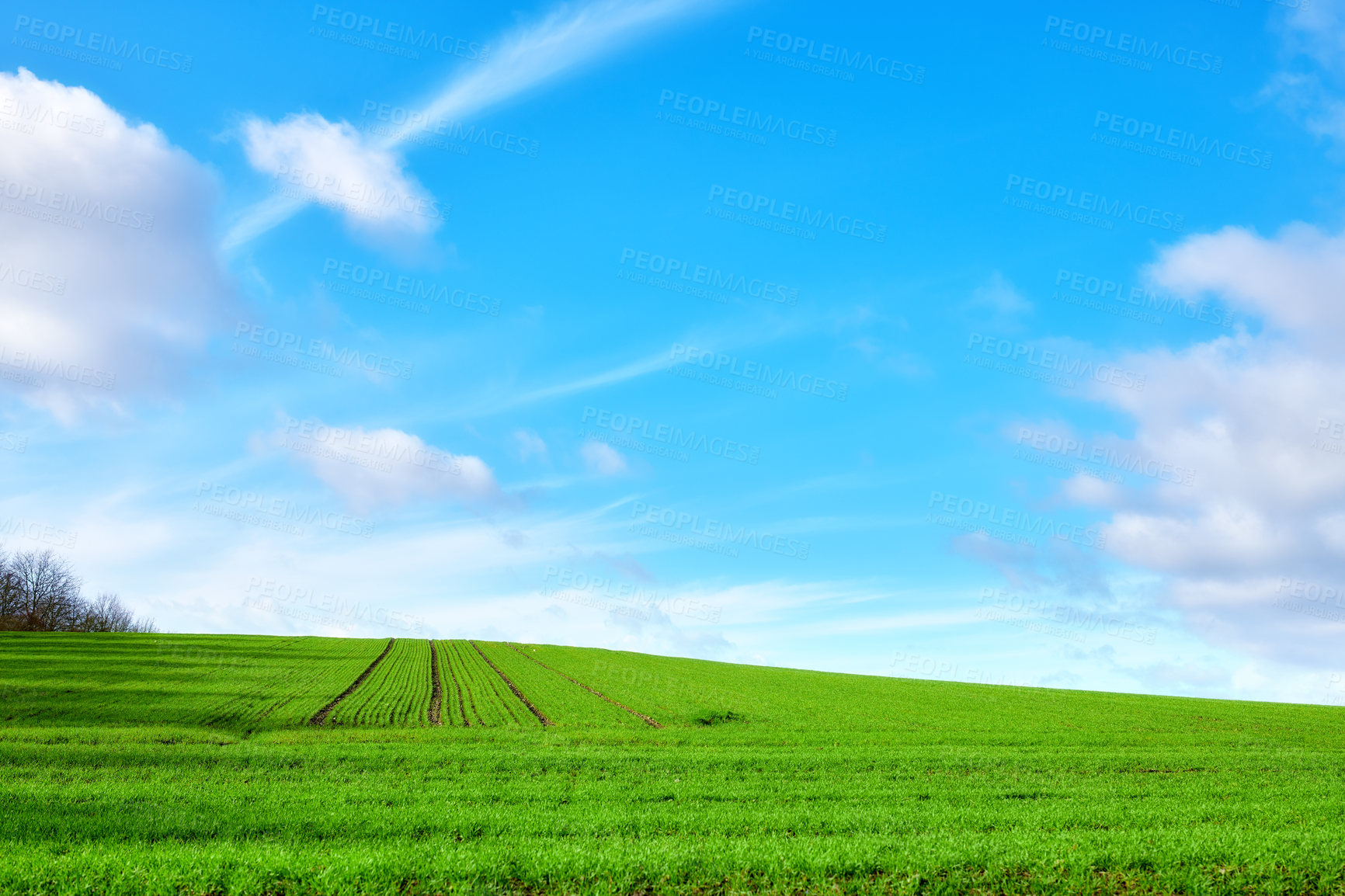 Buy stock photo Green fields and blue sky in spring and early summer