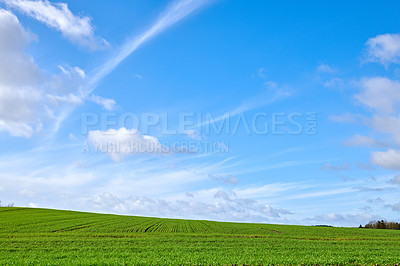 Buy stock photo A  photo of the Danish countryside at summertime