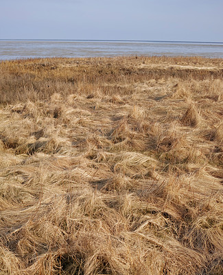 Buy stock photo The east coast of Jutland facing Kattegat