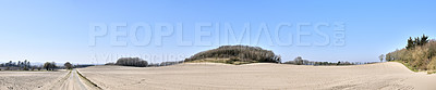 Buy stock photo Copy space with view of trees on a sandy and barren farm with clear blue sky background on a sunny day. Panoramic landscape of a dry, arid and uncultivated land on the East Coast of Jutland, Denmark