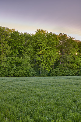 Buy stock photo Green fields and blue sky in spring and early summer