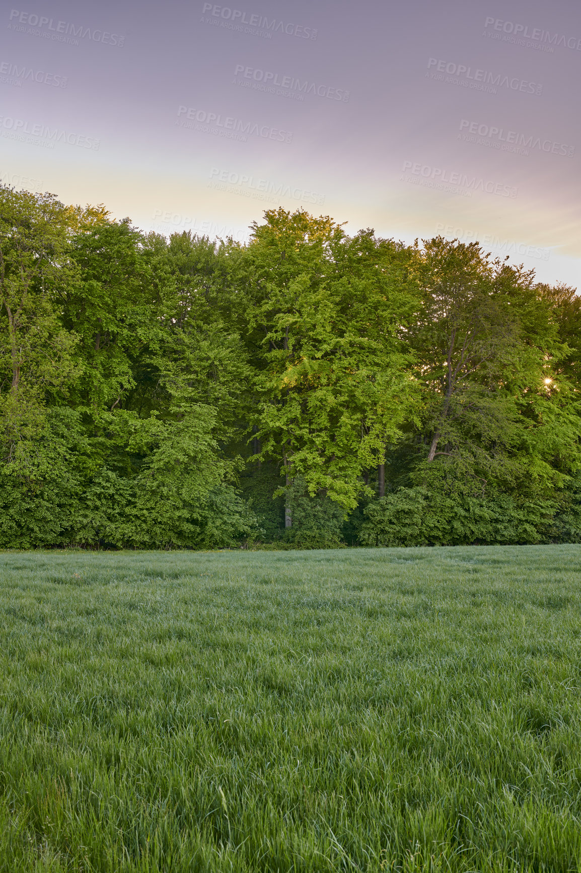 Buy stock photo Green fields and blue sky in spring and early summer