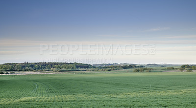 Buy stock photo A  photo of the Danish countryside at summertime