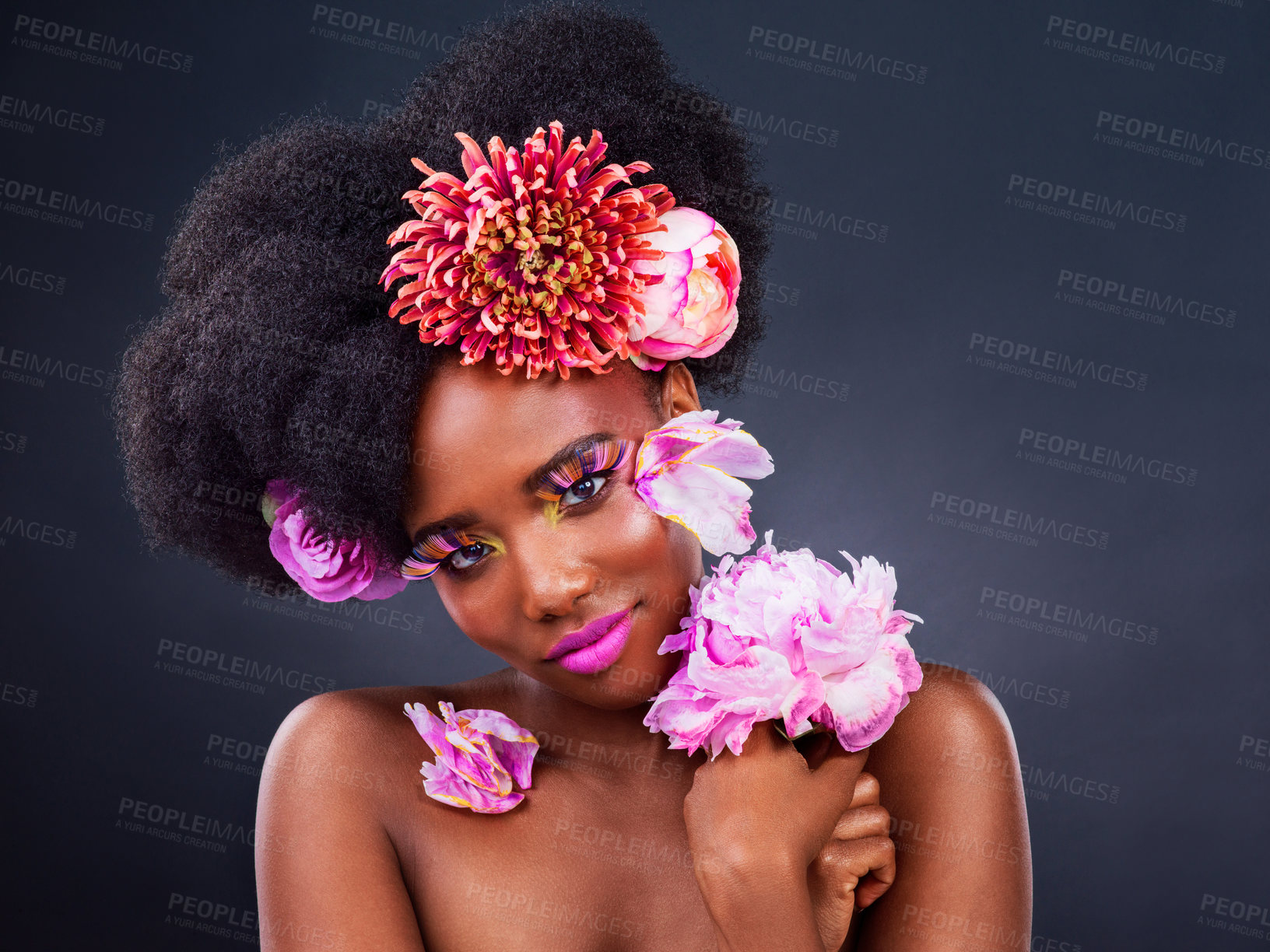 Buy stock photo Beauty, flowers and portrait of natural black woman in studio on dark background for cosmetics. Face, makeup or skincare and young afro model with protea in hair for aesthetic wellness at spa