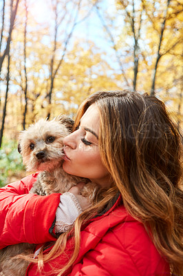 Buy stock photo Cropped shot of an attractive young woman and her adorable little puppy in the forest during autumn