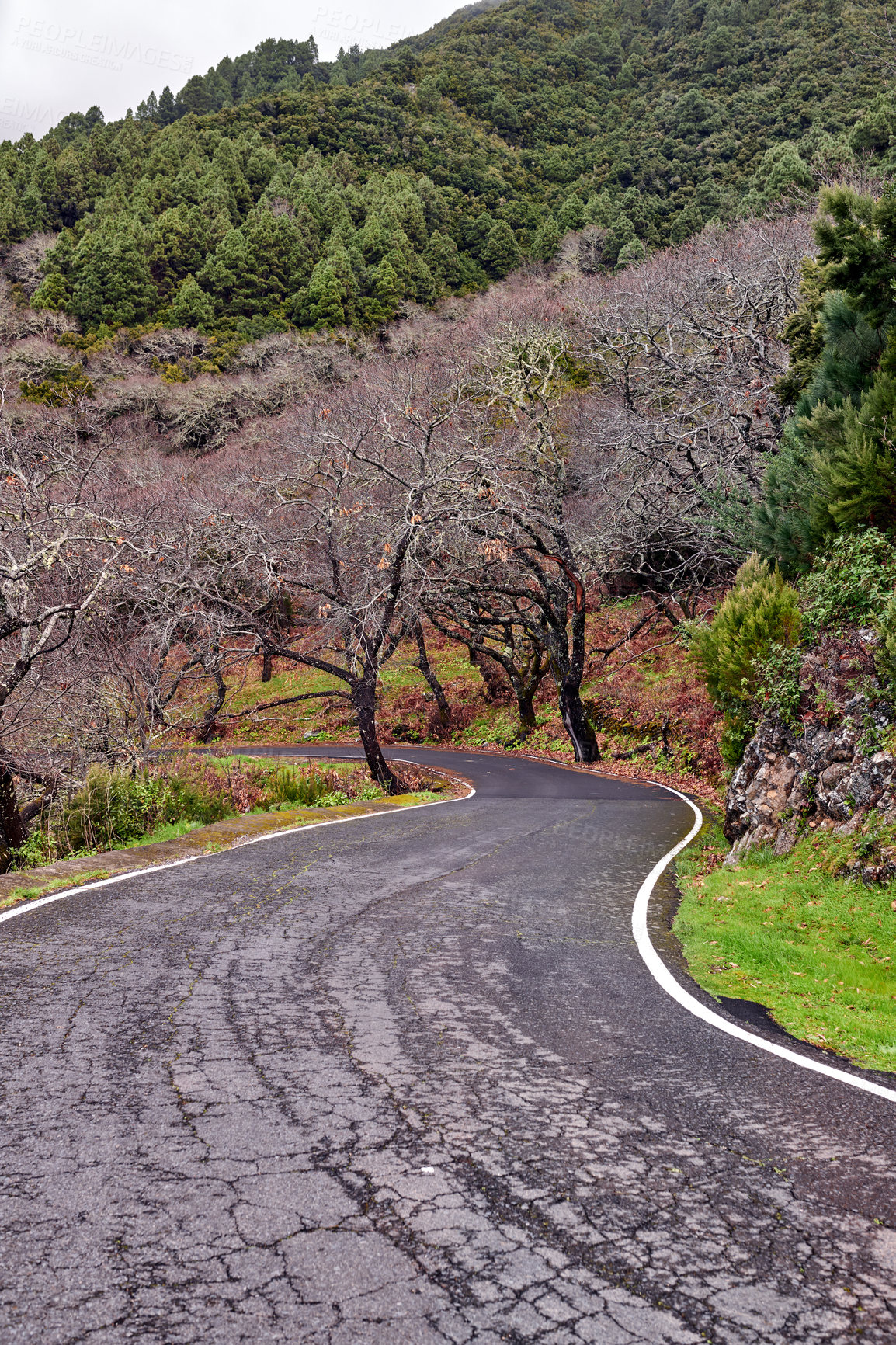 Buy stock photo Photo from the island of La Palma, Spain